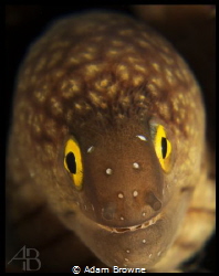 Happy - taken on trip around southern visayas by Adam Browne 